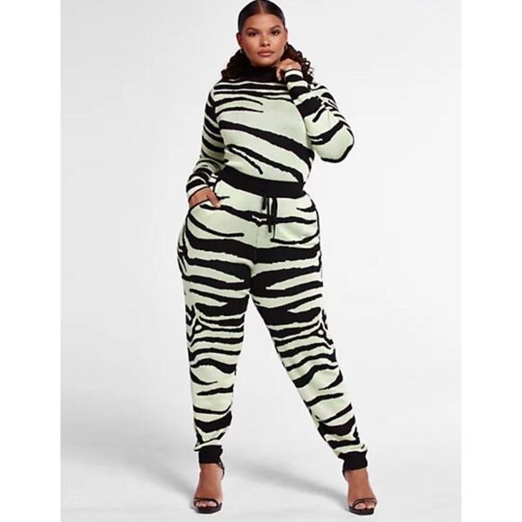 Fashion to Figure Pants - Fashion To Figure Tara Zebra Print Two Piece Pants Set Sz 2X